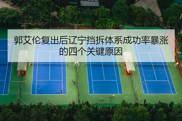 guo-ai-lun-fu-chu-hou-liao-ning-dang-chai-ti-xi-cheng-gong-lv-bao-zhang-de-si-ge-guan-jian-yuan-yin-2-940.jpg